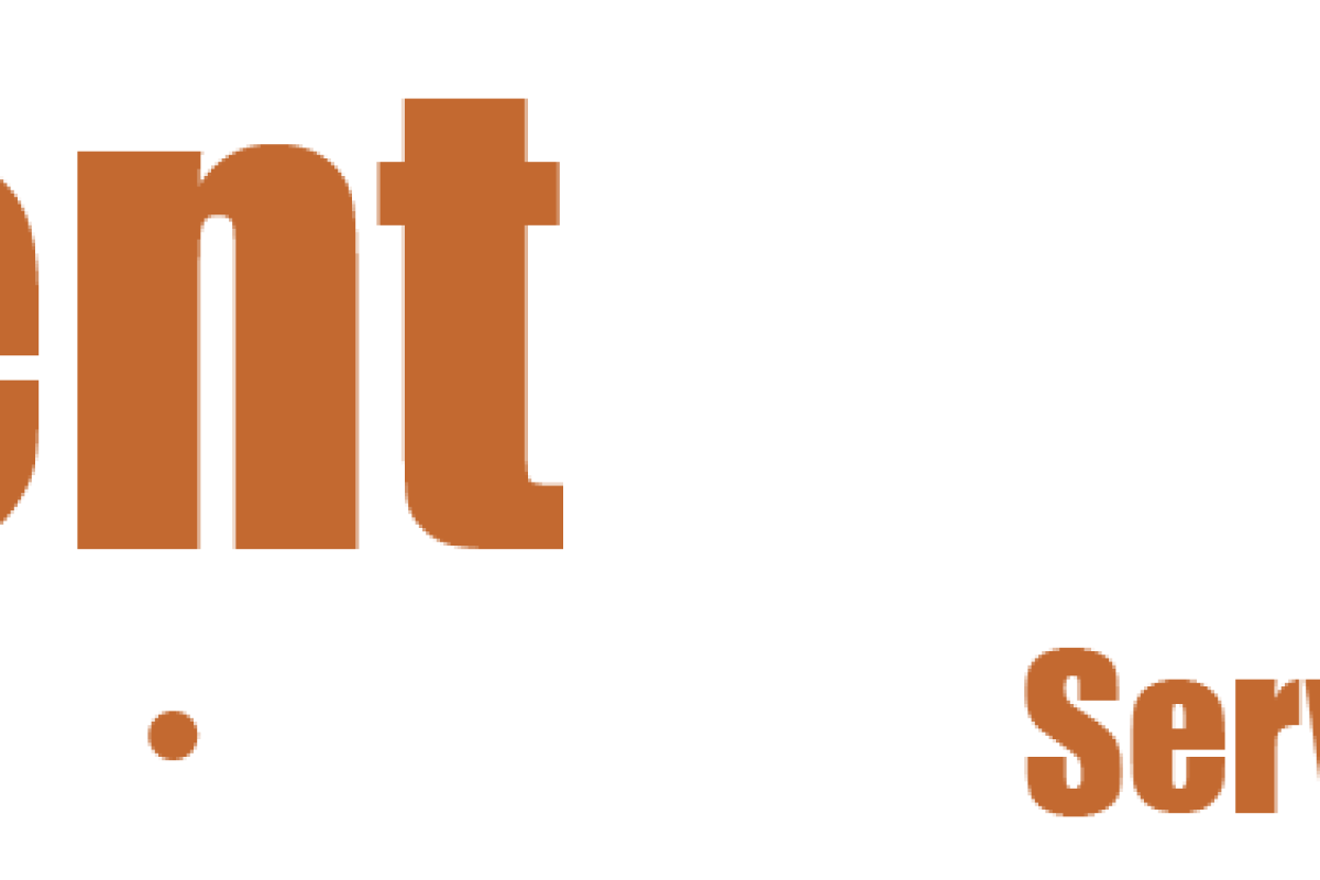 PageLines-BrentDynamicsNew2013LogoWhiteSupperLarge-Transparent.png